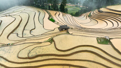 Water season flows into terraced fields and rice planting begins in Mu Cang Chai, Yen Bai. Photo...