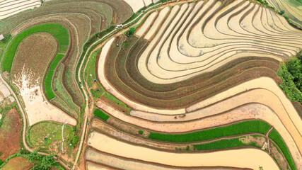 Water season flows into terraced fields and rice planting begins in Mu Cang Chai, Yen Bai. Photo...