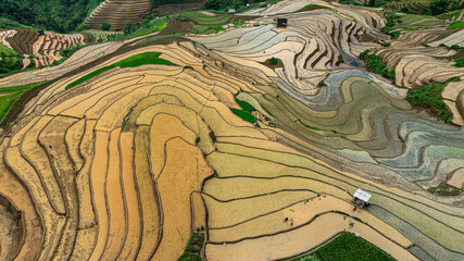 Water season flows into terraced fields and rice planting begins in Mu Cang Chai, Yen Bai. Photo...