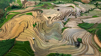 Fototapete Reisfelder Water season flows into terraced fields and rice planting begins in Mu Cang Chai, Yen Bai. Photo taken in Yen Bai on June 22, 2025.  © huong
