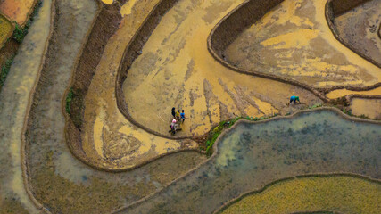 Water season flows into terraced fields and rice planting begins in Mu Cang Chai, Yen Bai. Photo...