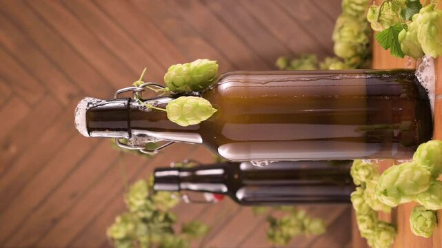Close-up of a freshly opened beer bottle with foam spilling over the top. Rustic background, fresh hops hanging on the bottle. Concept of craft beer, freshness, brewing, and celebration. 4k footage