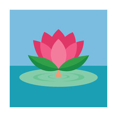 Pink water lily flower blooming on pond