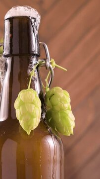 Close-up of a freshly opened beer bottle with foam spilling over the top. Rustic background, fresh hops hanging on the bottle. Concept of craft beer, freshness, brewing, and celebration. 4k vertikal