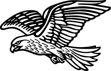 Soaring hawk illustration in black lines flying bird of prey, open wings, hunting raptor drawing art