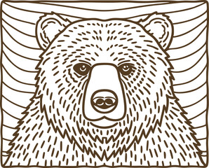 Grizzly bear illustration hand drawn animal portrait, wild forest wildlife, detailed brown bear line art