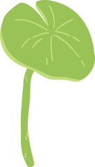 Lotus leaf