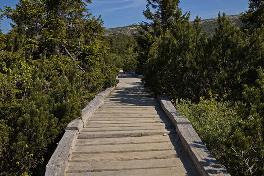 Board walk to Labska Bouda in Krkonose mountains, Czech Republic, Europe
