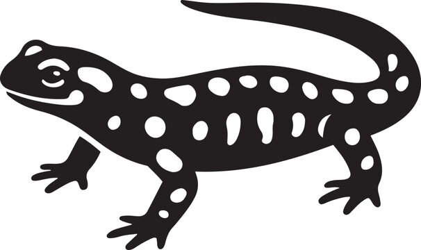 black and white spotted salamander clip art preview