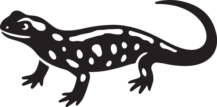 black and white spotted salamander clip art preview