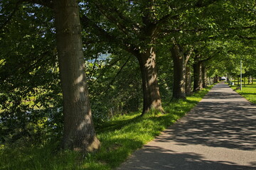 Public park at river Jizera in Semily,Liberec Region, Czech Republic, Europe
