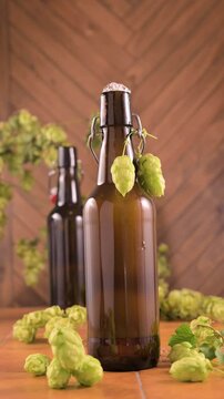 Macro shot of a cold brown beer bottle with a droplet of condensation slowly sliding down. Fresh green hops decorate the bottle. Symbol of refreshment, thirst, and artisanal brewing. High 4k footage