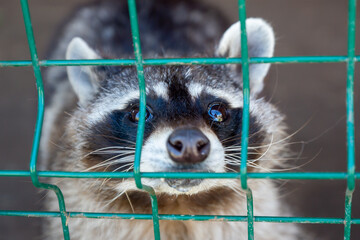 An open-air zoo with a variety of animals.