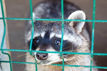 An open-air zoo with a variety of animals.