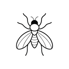 Obraz premium fly line art