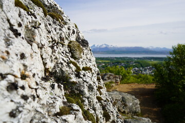 Incredible view from above of the Norwegian forest