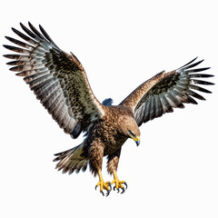 Majestic Eagle in Flight: A stunning image captures the dynamic movement of a majestic eagle in full flight, with its powerful wings spread wide against the sky.