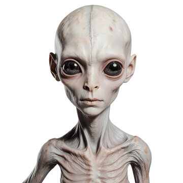Alien's Introspection: A close-up portrait of an extraterrestrial being, its large, dark eyes reflect a universe of unknown thoughts and emotions.