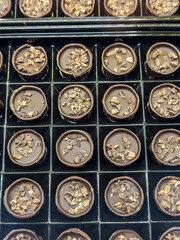 Sweet  hand-made chocolate candies in candy shop