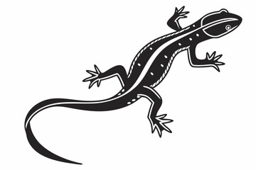 Fototapeta premium newt sihouette black vector 