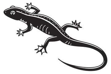 Fototapeta premium newt sihouette black vector 