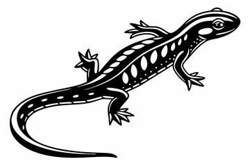 Naklejka premium newt sihouette black vector 