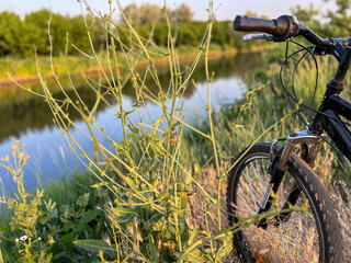 Black bicycle parked by the river in summer evening sunlight