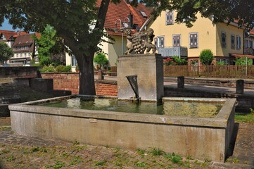 Step into the idyllic charm of a quaint German village.
