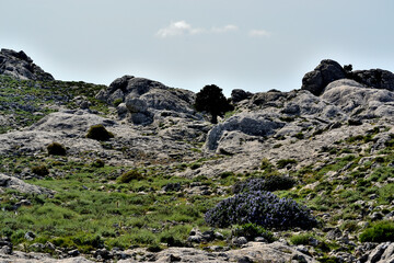 Trekking a Punta Corrasi nel Supramonte di Oliena