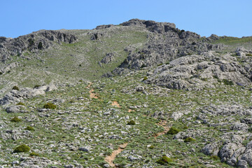 Trekking a Punta Corrasi nel Supramonte di Oliena
