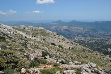 Trekking a Punta Corrasi nel Supramonte di Oliena