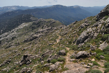 Trekking a Punta Corrasi nel Supramonte di Oliena
