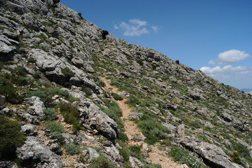 Trekking a Punta Corrasi nel Supramonte di Oliena