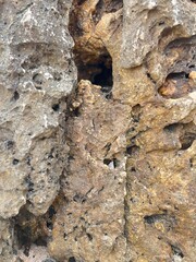 Rough Stone Texture: Close-up view of a rugged stone surface, showcasing a variety of textures, colors and formations.