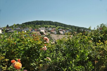 Step into the idyllic charm of a quaint German village.