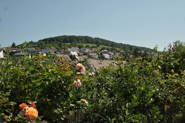 Step into the idyllic charm of a quaint German village.