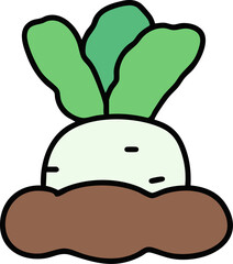 radish
