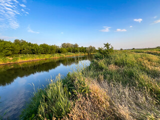 Canal reflecting trees under a blue sky in summer
