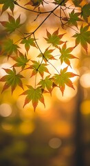 Obraz premium Golden Hour Embrace