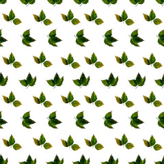 Hand drawn watercolor strawberry leaves on white background. Pattern with green leaves. Perfect for wallpaper, gift wrap, pattern fill, web page background, autumn greeting cards
