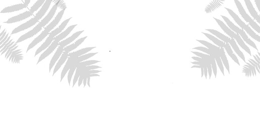 Elegant Fern Leaf shadow perfect for design decoration