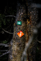 hiking trail this way