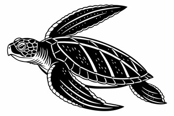 Obraz premium leatherback turtle sihouette black vector 