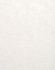 Fototapeta premium Delicate off-white paper texture with subtle fibers and organic pattern