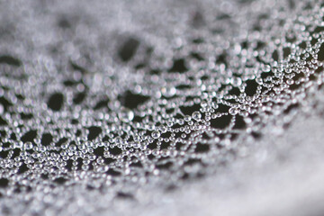 Cobweb with dew drops along the strands. Taken near Salisbury, England.