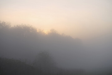 The setting winter sun shines through the fog with trees silhouetted by the light. Taken near...