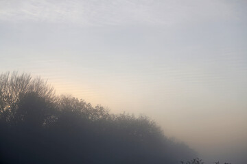 The setting winter sun shines through the fog with trees silhouetted by the light. Taken near...