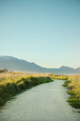 Coastal Path Beneath Snow-Capped Mountains at Golden Hour in New Zealand