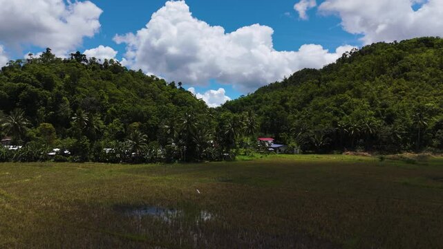 Traditional Rice Fields and Forested Slopes hills in a sunny cloudy day in Bilar, Bohol, Philippines
