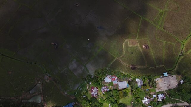 Top-Down bird's eye View of Rice Fields and Rural Settlement in Bilar, Bohol, Philippines